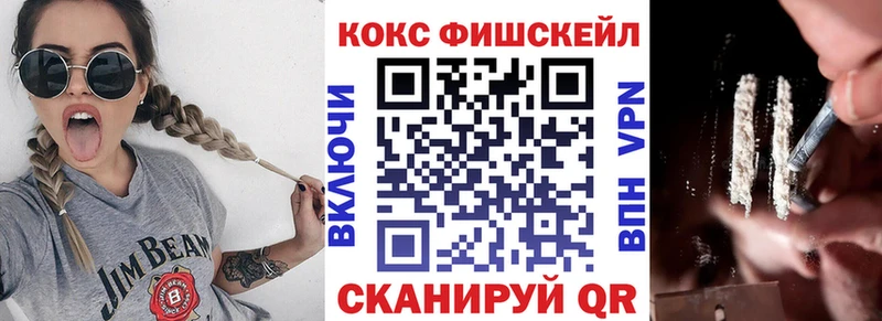 Купить закладки  Приозерск  Cocaine FishScale 