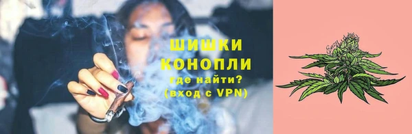 молекула духа Няндома