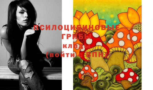 молекула духа Няндома