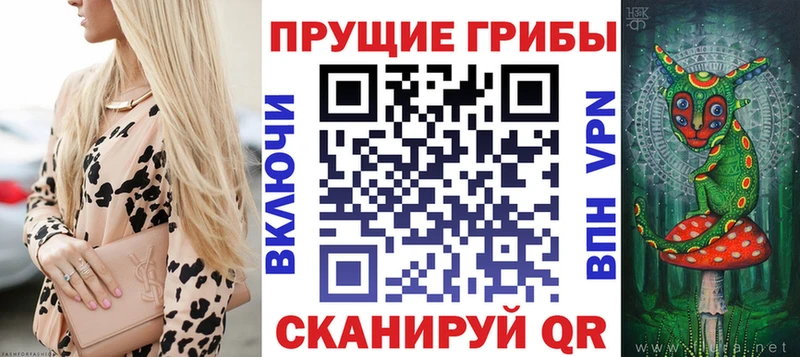 Галлюциногенные грибы ЛСД  Купить закладки  Приозерск 